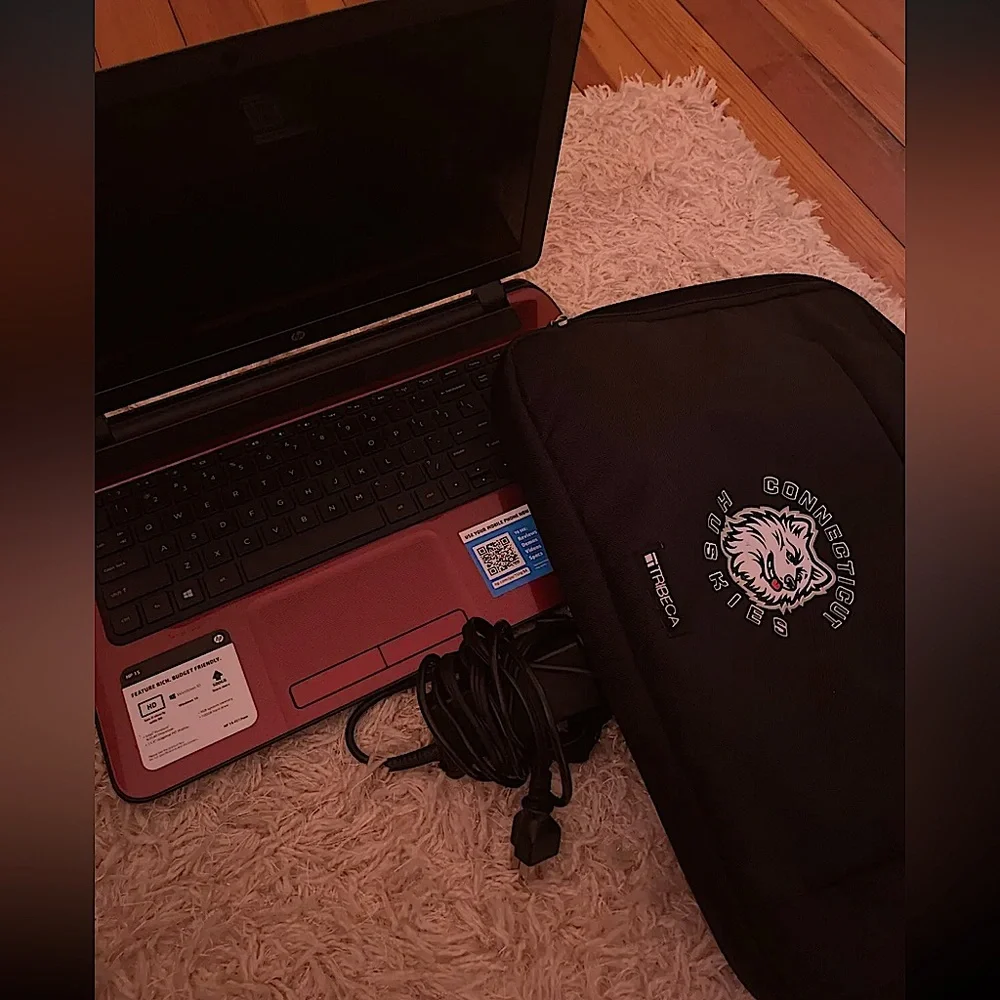 Computer with its charger and a bag